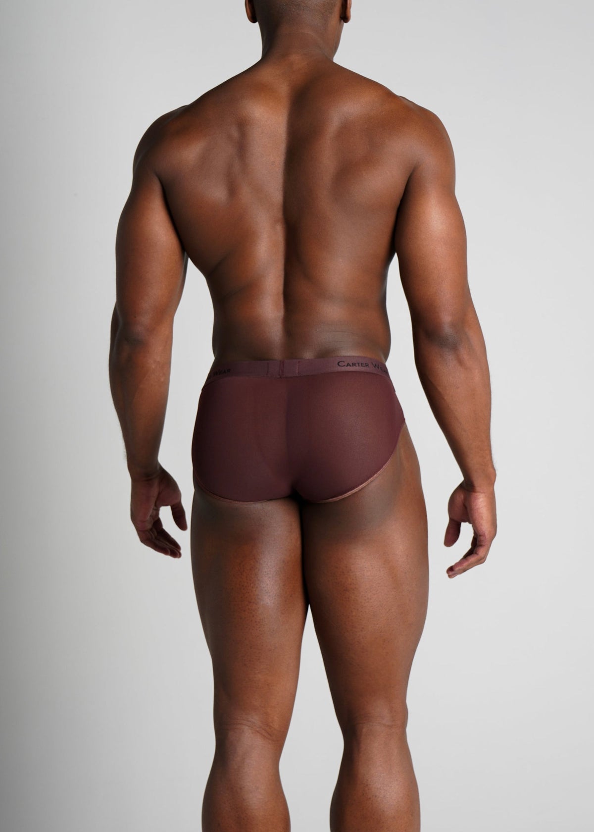 Espresso Micro Mesh Brief (Stretchable, Breathable, Soft, Durable, Comfort Fabric)