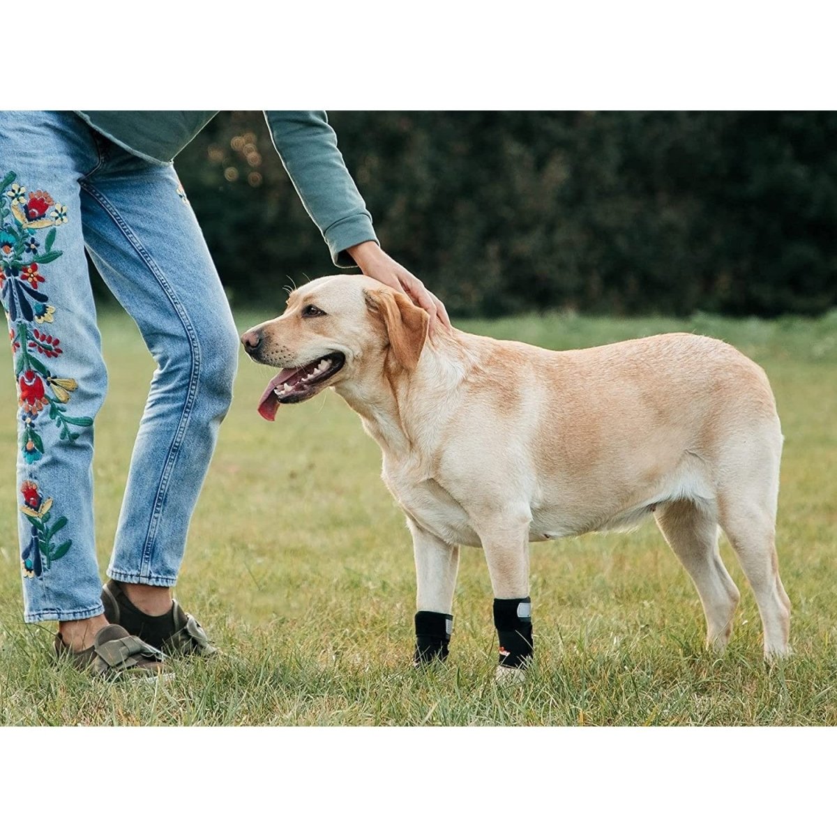 NeoAlly 3-in-1 Front Leg Dog Splint Brace: Rigid & Spring Inserts (Size XXS - XL)