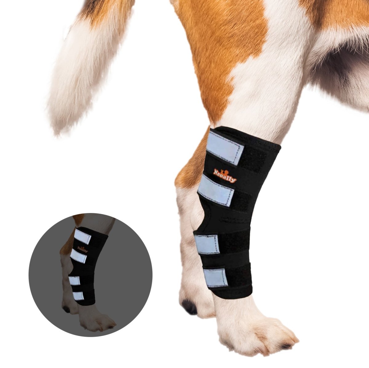 NeoAlly Dog Rear Leg Hock Brace with Safety Reflective Straps (Size XS - XXL)