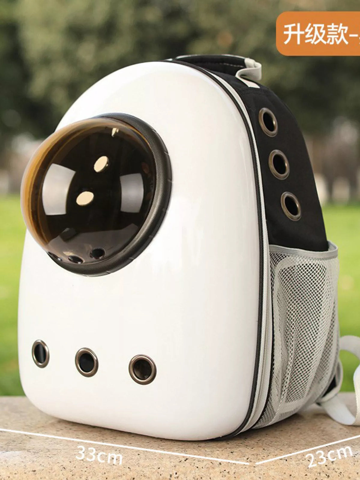 Space Capsule Transparent Pet Carrier Backpack
