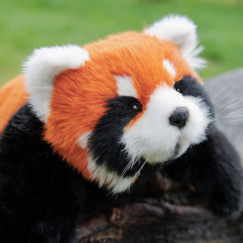 Red Panda Weighted Plush – Snuggle Toy for Relaxation - Comforting companion