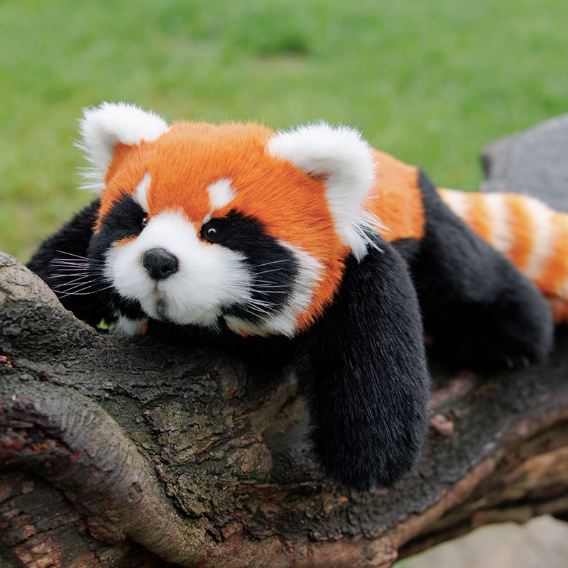 Red Panda Weighted Plush – Snuggle Toy for Relaxation - Comforting companion