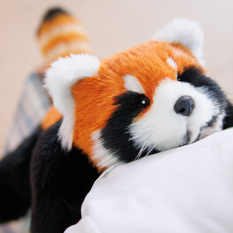 Red Panda Weighted Plush – Snuggle Toy for Relaxation - Comforting companion