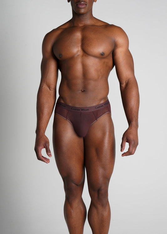 Espresso Micro Mesh Brief (Stretchable, Breathable, Soft, Durable, Comfort Fabric)