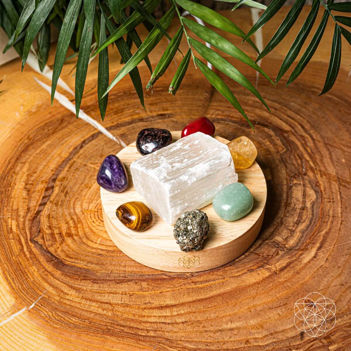 Money-Magnet Lamp - Manifest Energy Towards Attracting Abundance