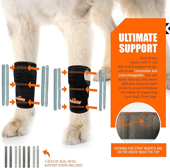 NeoAlly 3-in-1 Front Leg Dog Splint Brace: Rigid & Spring Inserts (Size XXS - XL)