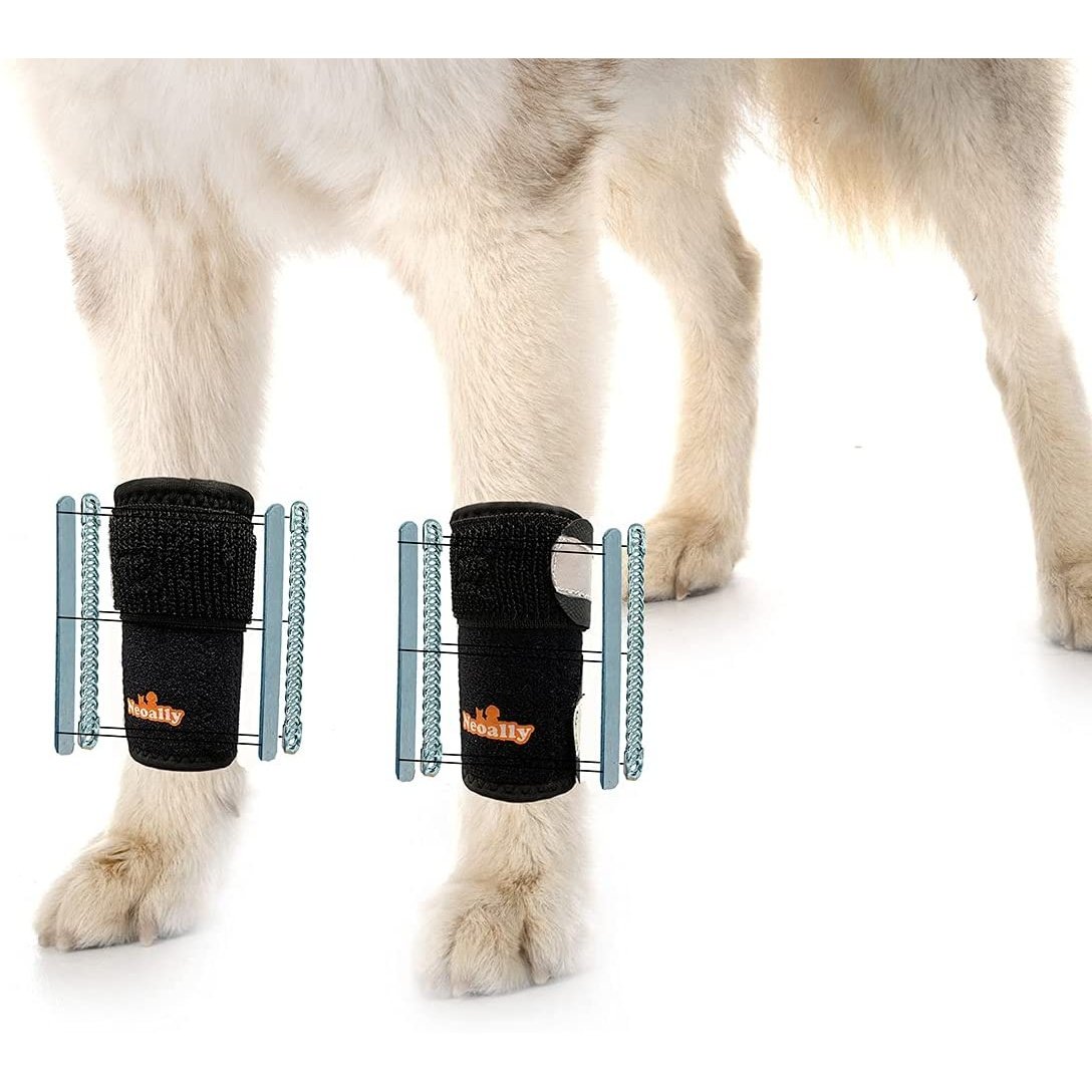 NeoAlly 3-in-1 Front Leg Dog Splint Brace: Rigid & Spring Inserts (Size XXS - XL)