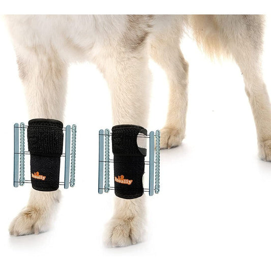 NeoAlly 3-in-1 Front Leg Dog Splint Brace: Rigid & Spring Inserts (Size XXS - XL)