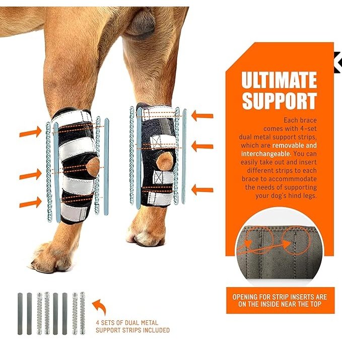 NeoAlly 3-in-1 Long Rear Leg Hock Brace - Rigid and Spring Inserts (Dog Sizes XS - XXL)