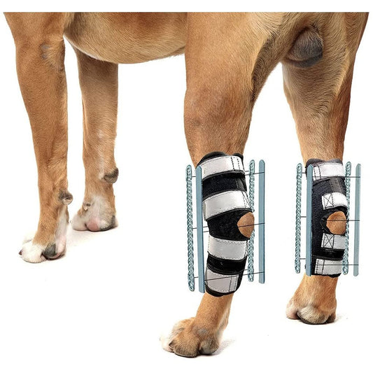 NeoAlly 3-in-1 Long Rear Leg Hock Brace - Rigid and Spring Inserts (Dog Sizes XS - XXL)