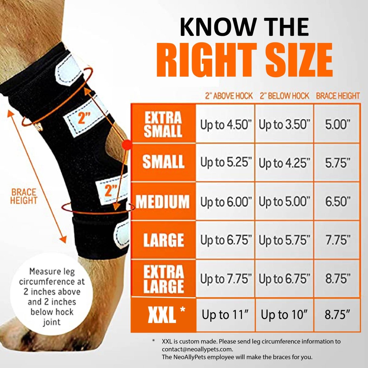 NeoAlly 3-in-1 Long Rear Leg Hock Brace - Rigid and Spring Inserts (Dog Sizes XS - XXL)