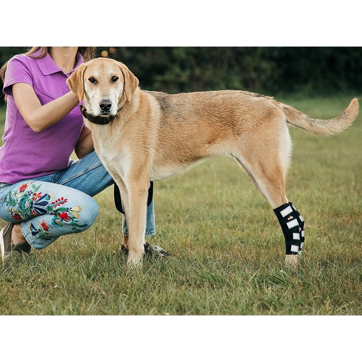 NeoAlly 3-in-1 Long Rear Leg Hock Brace - Rigid and Spring Inserts (Dog Sizes XS - XXL)