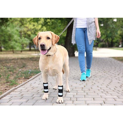NeoAlly Dog Front Leg Brace with Reflective Straps - Metal Spring Inserts for Support (Pair)