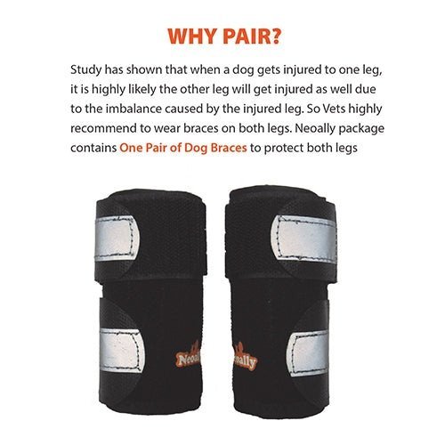 NeoAlly Dog Front Leg Brace with Reflective Straps - Metal Spring Inserts for Support (Pair)