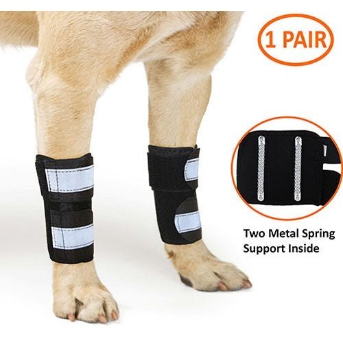 NeoAlly Dog Front Leg Brace with Reflective Straps - Metal Spring Inserts for Support (Pair)