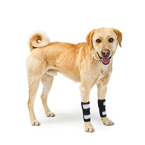 NeoAlly Dog Front Leg Brace with Reflective Straps - Metal Spring Inserts for Support (Pair)