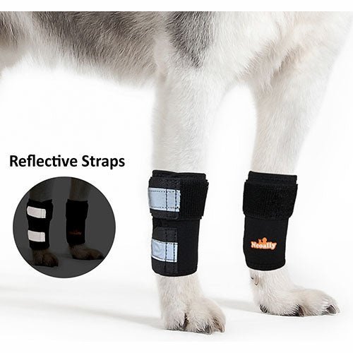 NeoAlly Dog Front Leg Braces: Enhance Safety with Reflective Straps (Pair) Size XXS - XXL