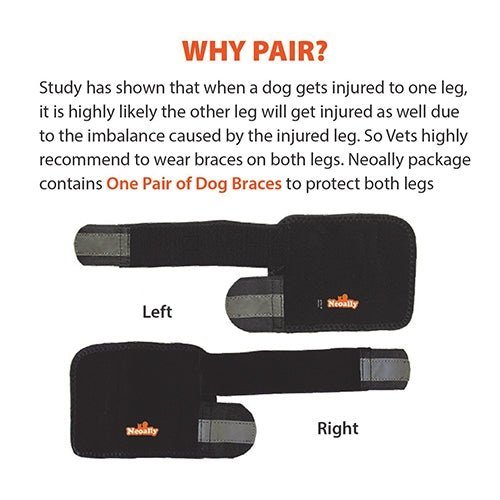 NeoAlly Dog Front Leg Braces: Enhance Safety with Reflective Straps (Pair) Size XXS - XXL