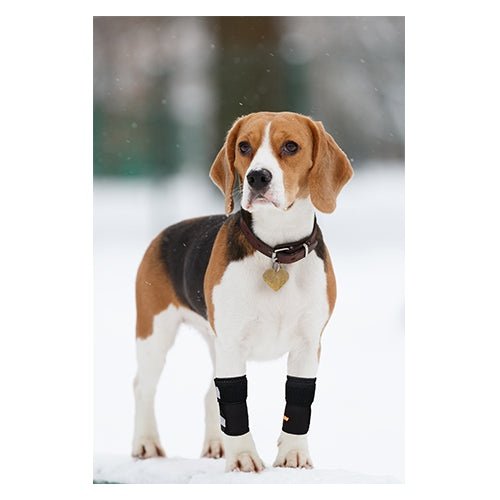 NeoAlly Dog Front Leg Braces: Enhance Safety with Reflective Straps (Pair) Size XXS - XXL