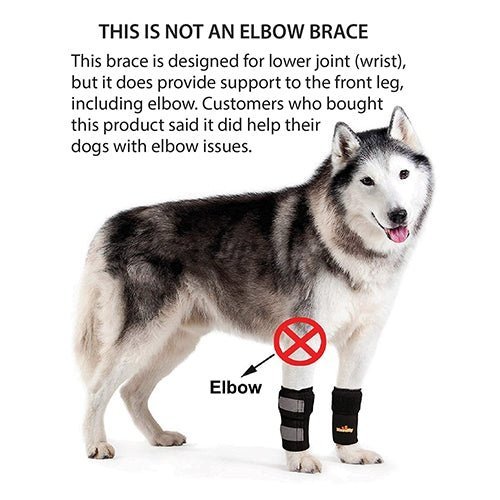 NeoAlly Dog Front Leg Braces: Enhance Safety with Reflective Straps (Pair) Size XXS - XXL