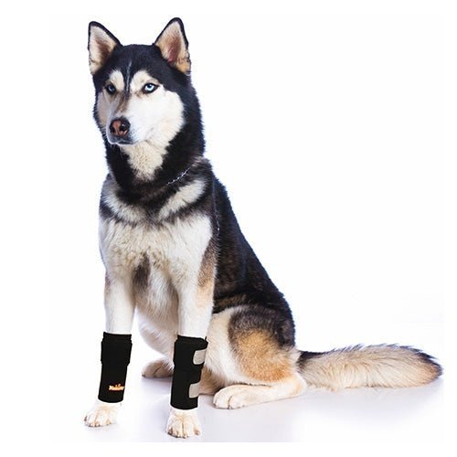 NeoAlly Dog Front Leg Braces: Enhance Safety with Reflective Straps (Pair) Size XXS - XXL