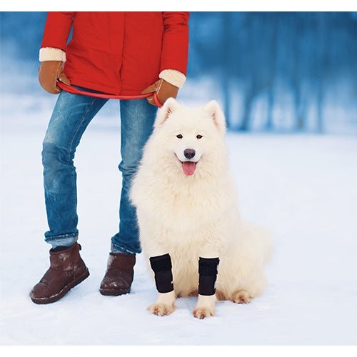 NeoAlly Dog Front Leg Braces: Enhance Safety with Reflective Straps (Pair) Size XXS - XXL