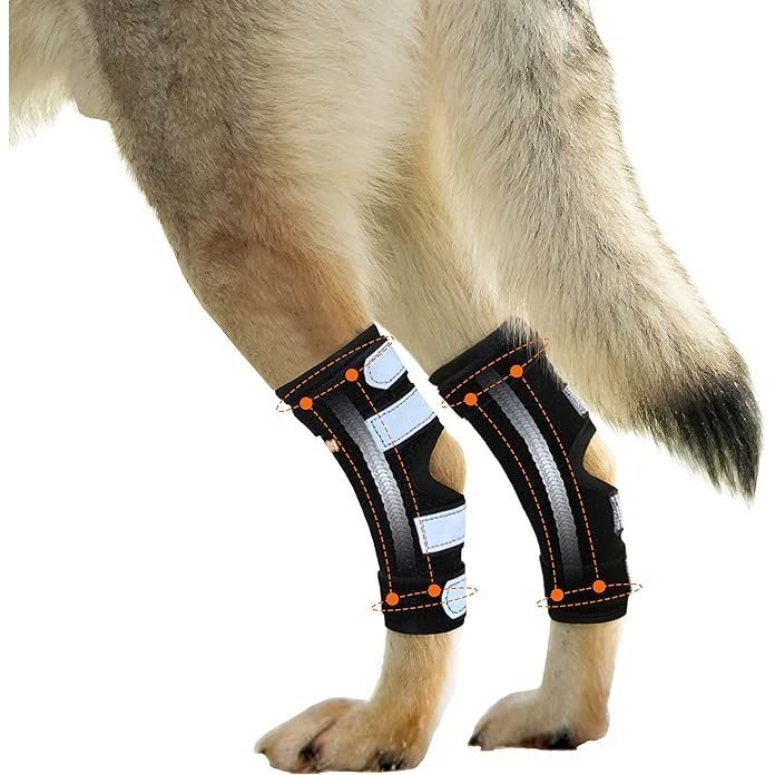 NeoAlly Dog Rear Leg Hock Brace with Metal Spring Strips for Large Dogs (Pair)