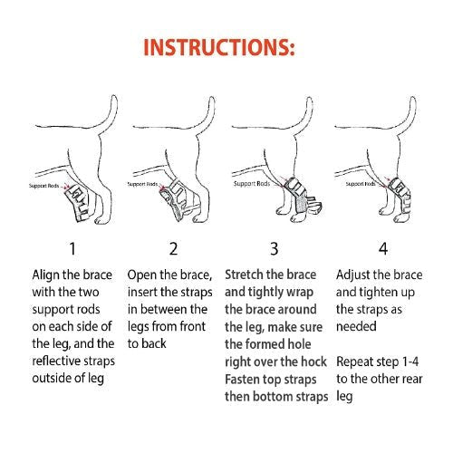 NeoAlly Dog Rear Leg Hock Brace with Metal Spring Strips for Large Dogs (Pair)