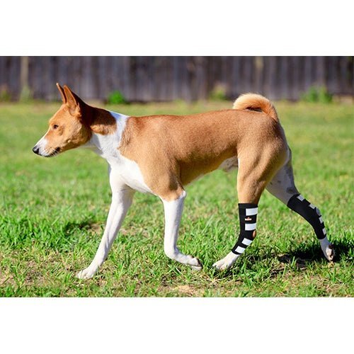 NeoAlly Dog Rear Leg Hock Brace with Metal Spring Strips for Large Dogs (Pair)