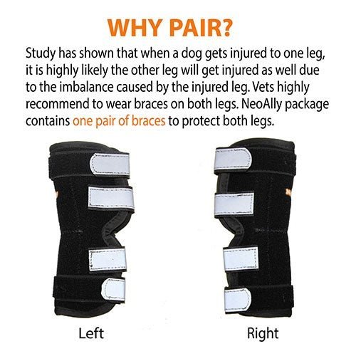 NeoAlly Dog Rear Leg Hock Brace with Metal Spring Strips for Large Dogs (Pair)