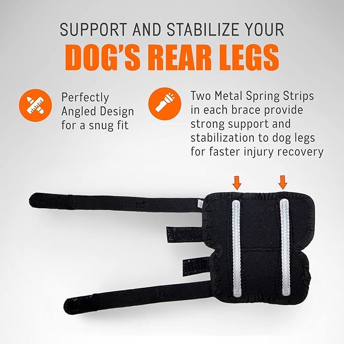 NeoAlly Dog Rear Leg Hock Brace with Metal Spring Strips for Large Dogs (Pair)