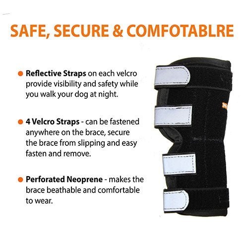 NeoAlly Dog Rear Leg Hock Brace with Metal Spring Strips for Large Dogs (Pair)