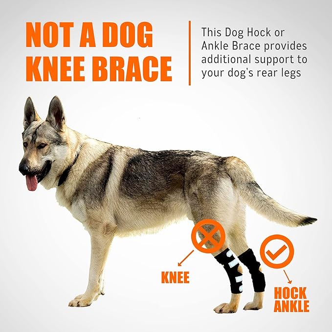 NeoAlly Dog Rear Leg Hock Brace with Metal Spring Strips for Large Dogs (Pair)