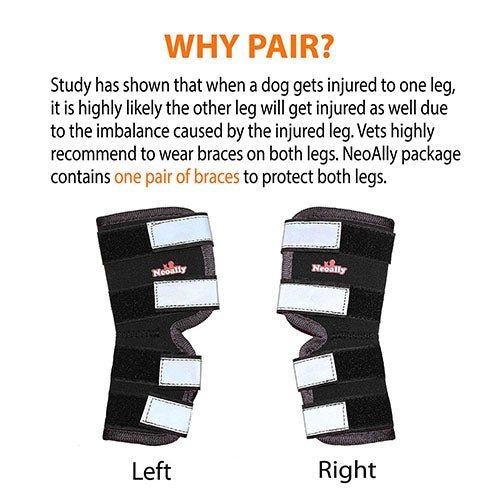 NeoAlly Dog Rear Leg Hock Brace with Safety Reflective Straps (Size XS - XXL)