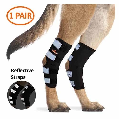 NeoAlly Dog Rear Leg Hock Brace with Safety Reflective Straps (Size XS - XXL)