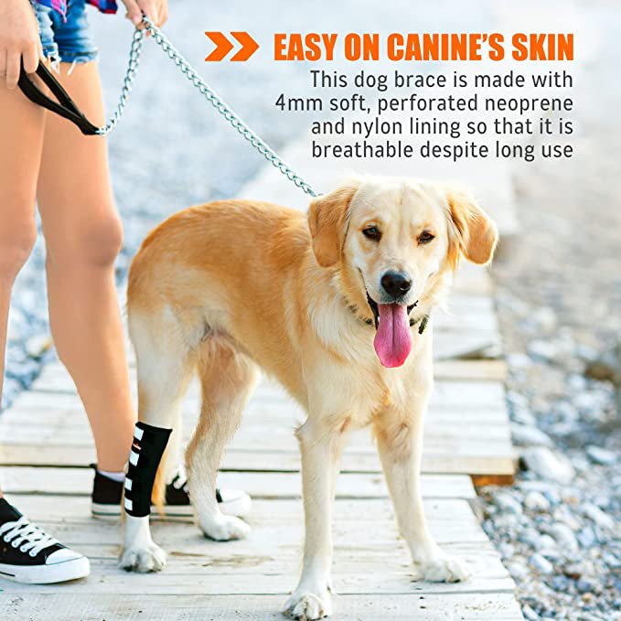 NeoAlly Dog Rear Leg Hock Brace with Safety Reflective Straps (Size XS - XXL)