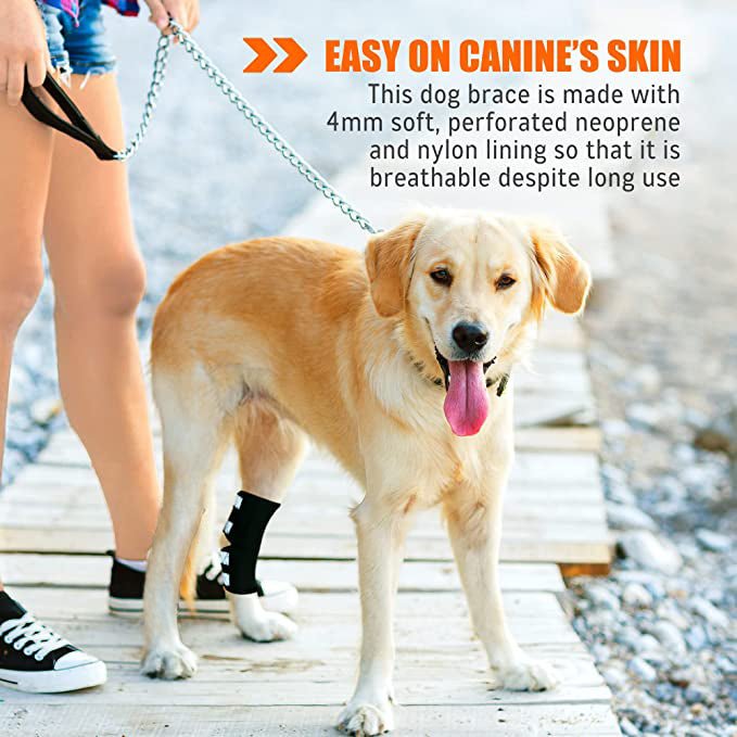 NeoAlly Dog Rear Leg Hock Brace with Safety Reflective Straps (Size XS - XXL)