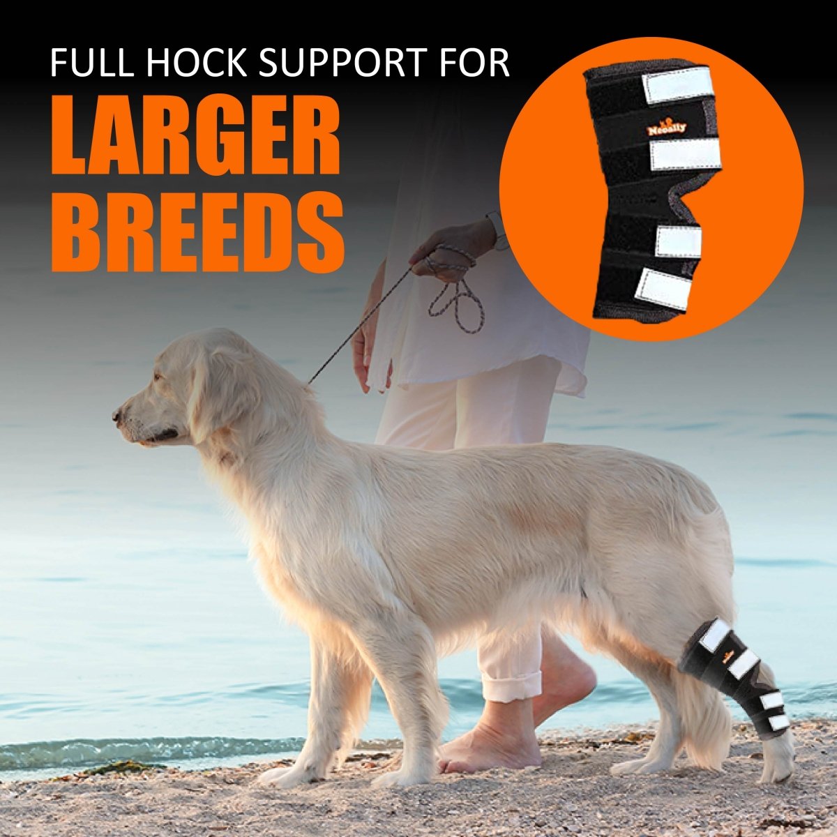 NeoAlly Dog Rear Leg Hock Brace with Safety Reflective Straps (Size XS - XXL)