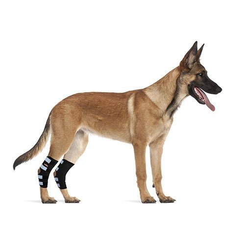 NeoAlly Dog Rear Leg Hock Brace with Safety Reflective Straps (Size XS - XXL)