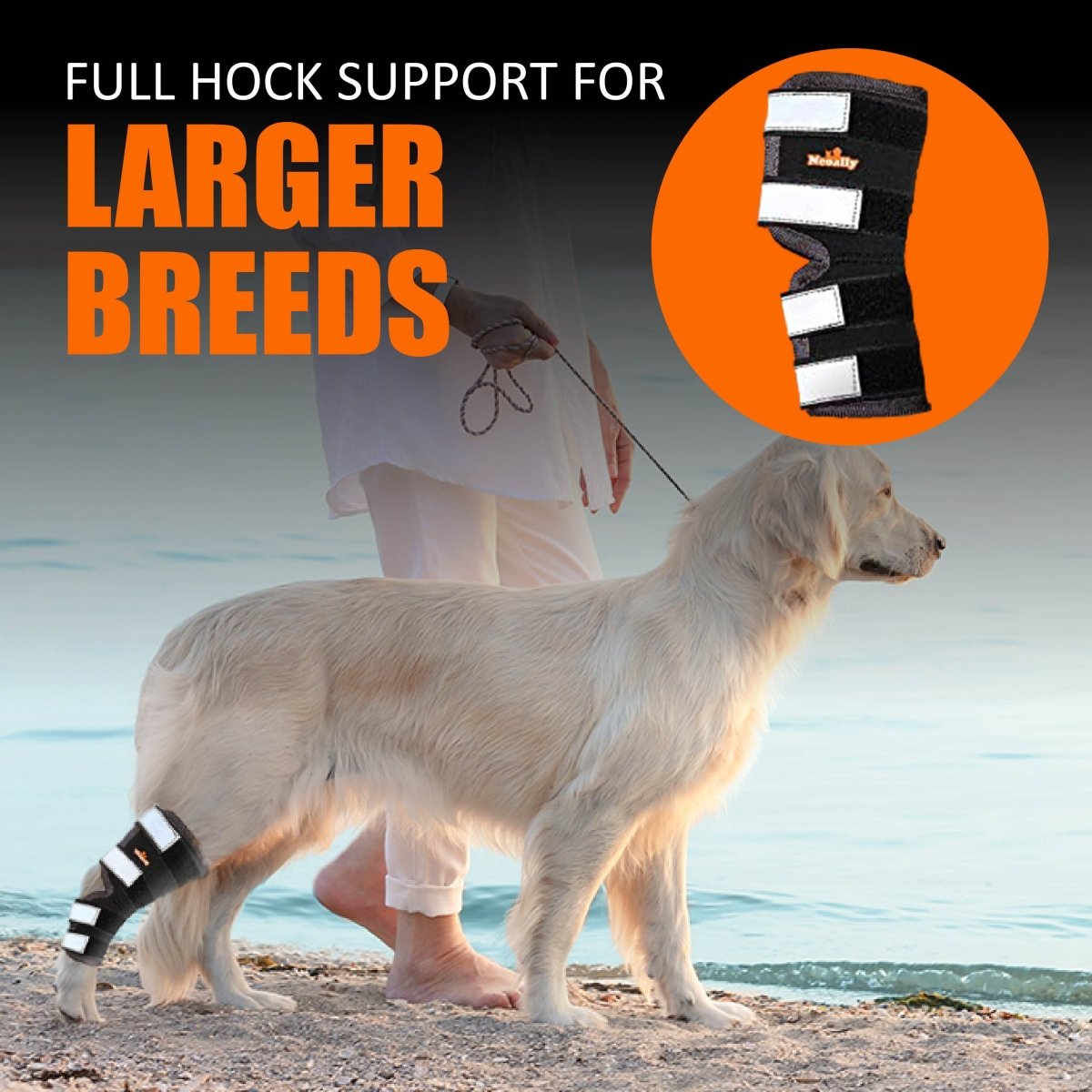 NeoAlly Dog Rear Leg Hock Brace with Safety Reflective Straps (Size XS - XXL)