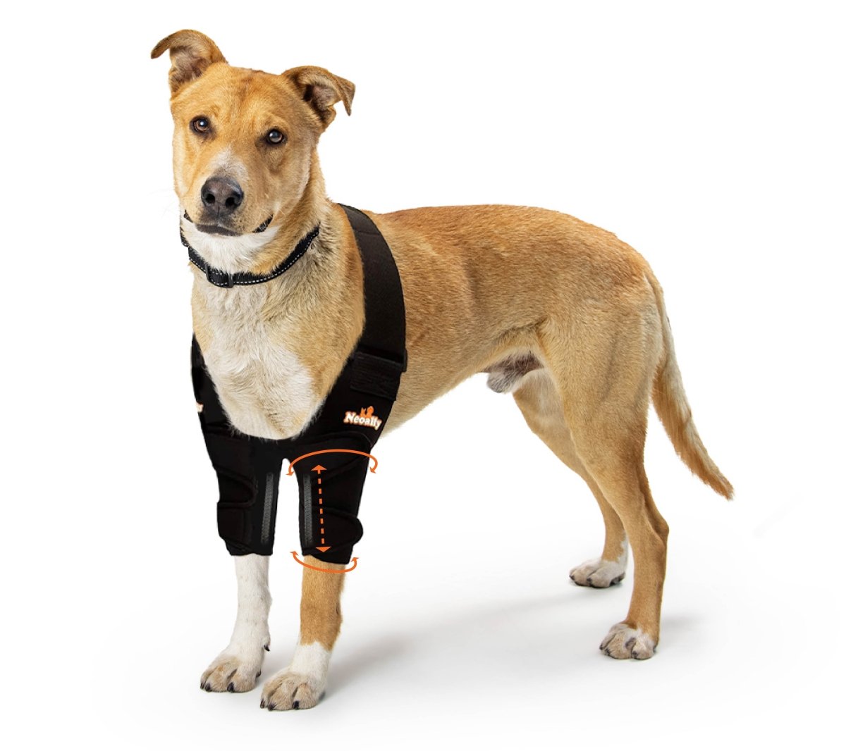 NeoAlly Elbow and Shoulder Brace with Spring Inserts for Dogs and Cats - Pet Mobility