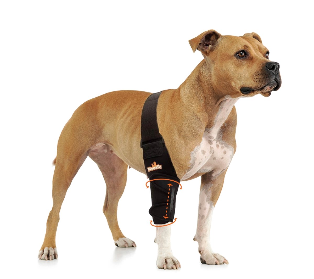 NeoAlly Elbow and Shoulder Brace with Spring Inserts for Dogs and Cats - Pet Mobility