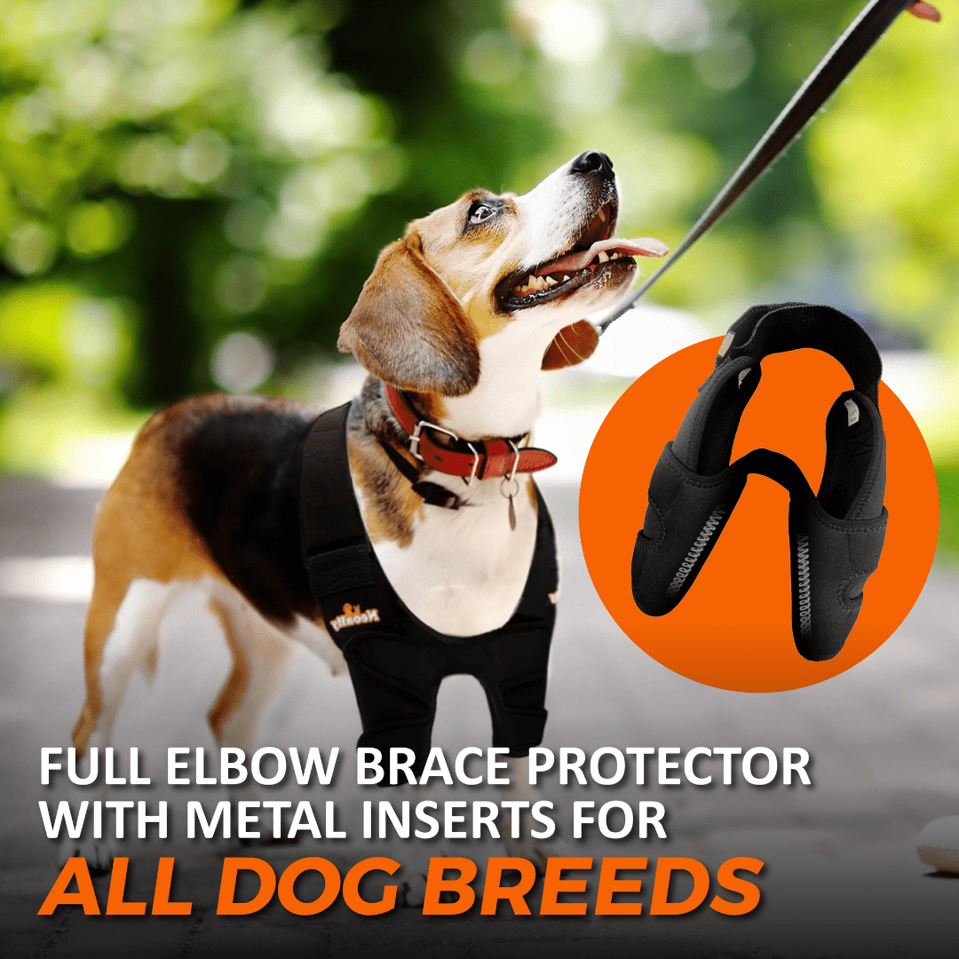 NeoAlly Elbow and Shoulder Brace with Spring Inserts for Dogs and Cats - Pet Mobility