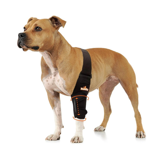 NeoAlly Elbow and Shoulder Brace with Spring Inserts for Dogs and Cats - Pet Mobility