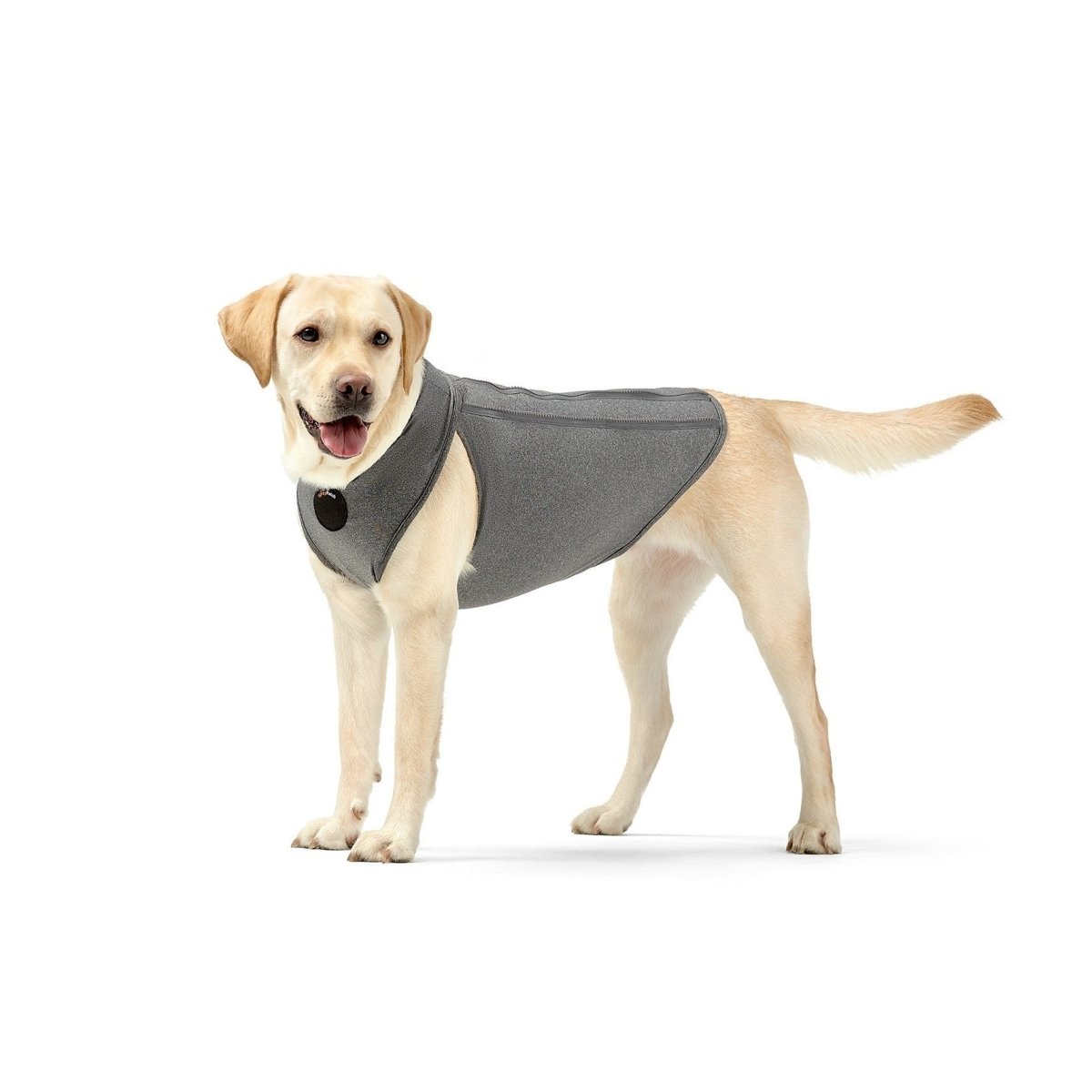 NeoAlly Upgraded Dog Surgical Recovery Vest for Dogs and Cats (Multi-Function)