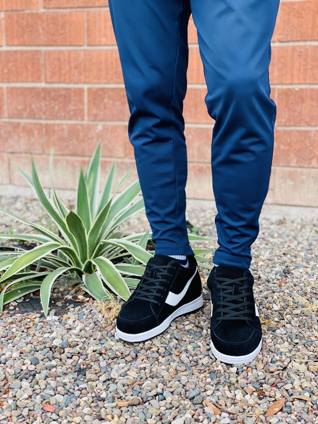 TOTO - A1914 - 2.8 Inches Taller Sneaker (Black)